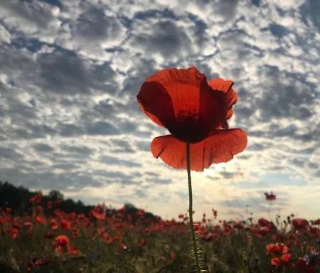 Διαμέρισμα Haus Sturmfried - Sausewind Insel Poel